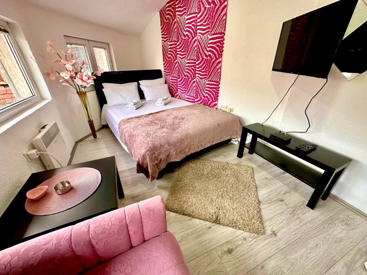 Apartmani Aleksandra U Centru Grada 크라구예바츠 외부 사진