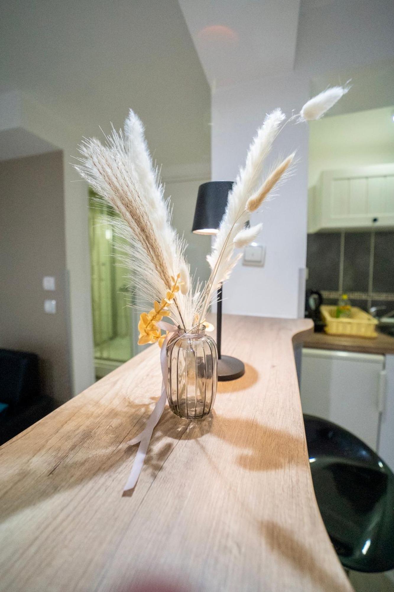 Apartmani Aleksandra U Centru Grada 크라구예바츠 외부 사진